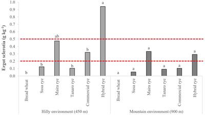 The cultivation of rye in marginal Alpine environments: a comparison of the agronomic, technological, health and sanitary traits of local landraces and commercial cultivars